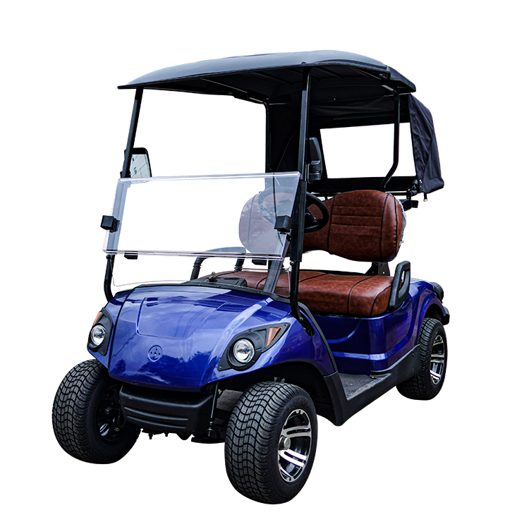 2 seat electric golf cart
