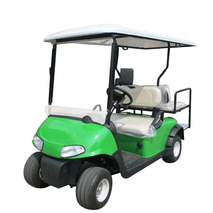 2 seat electric golf cart